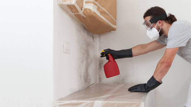 Professional Mold Inspection And Testing technician working in Roslyn, NY